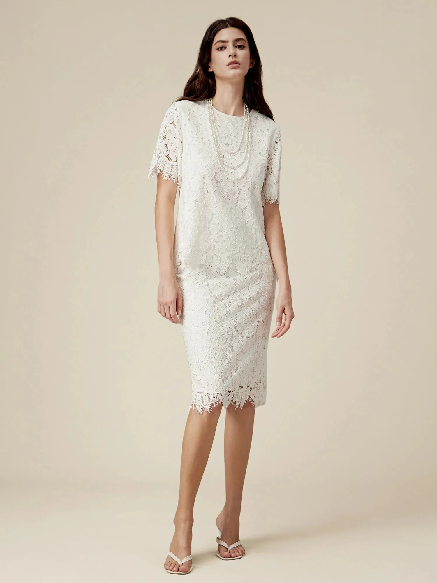 Amoretu Cotton Short Sleeve Lace Top