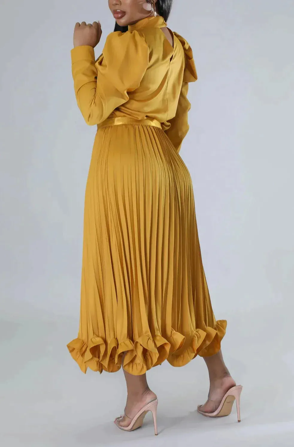 Blouse and Pleated Skirt Set