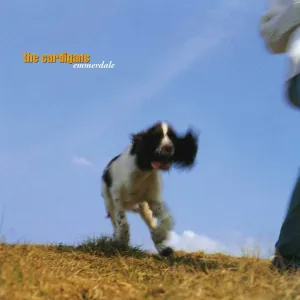 Cardigans - Emmerdale
