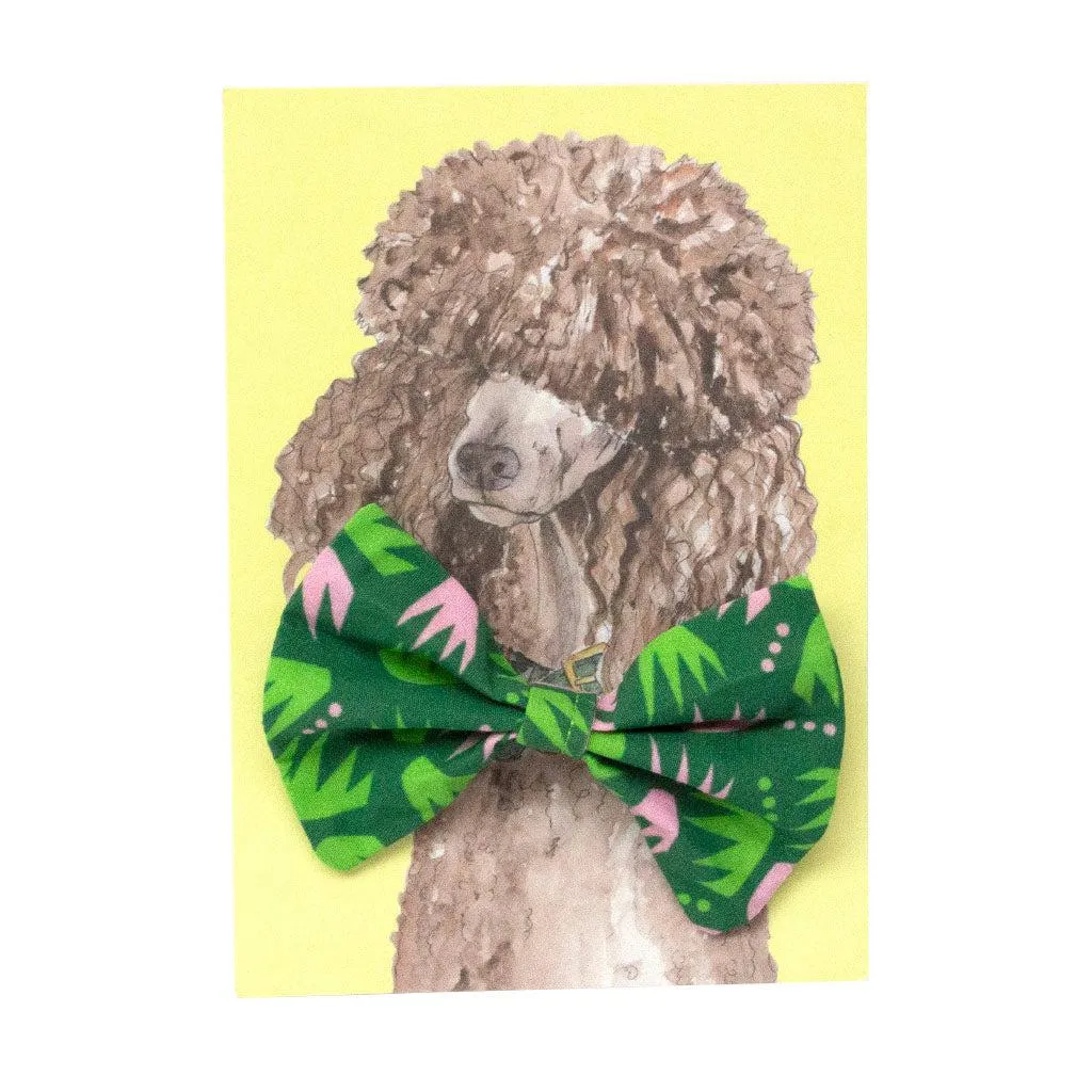 Combs Dog Bow Tie