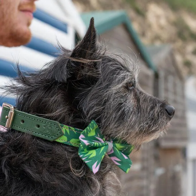 Combs Dog Bow Tie