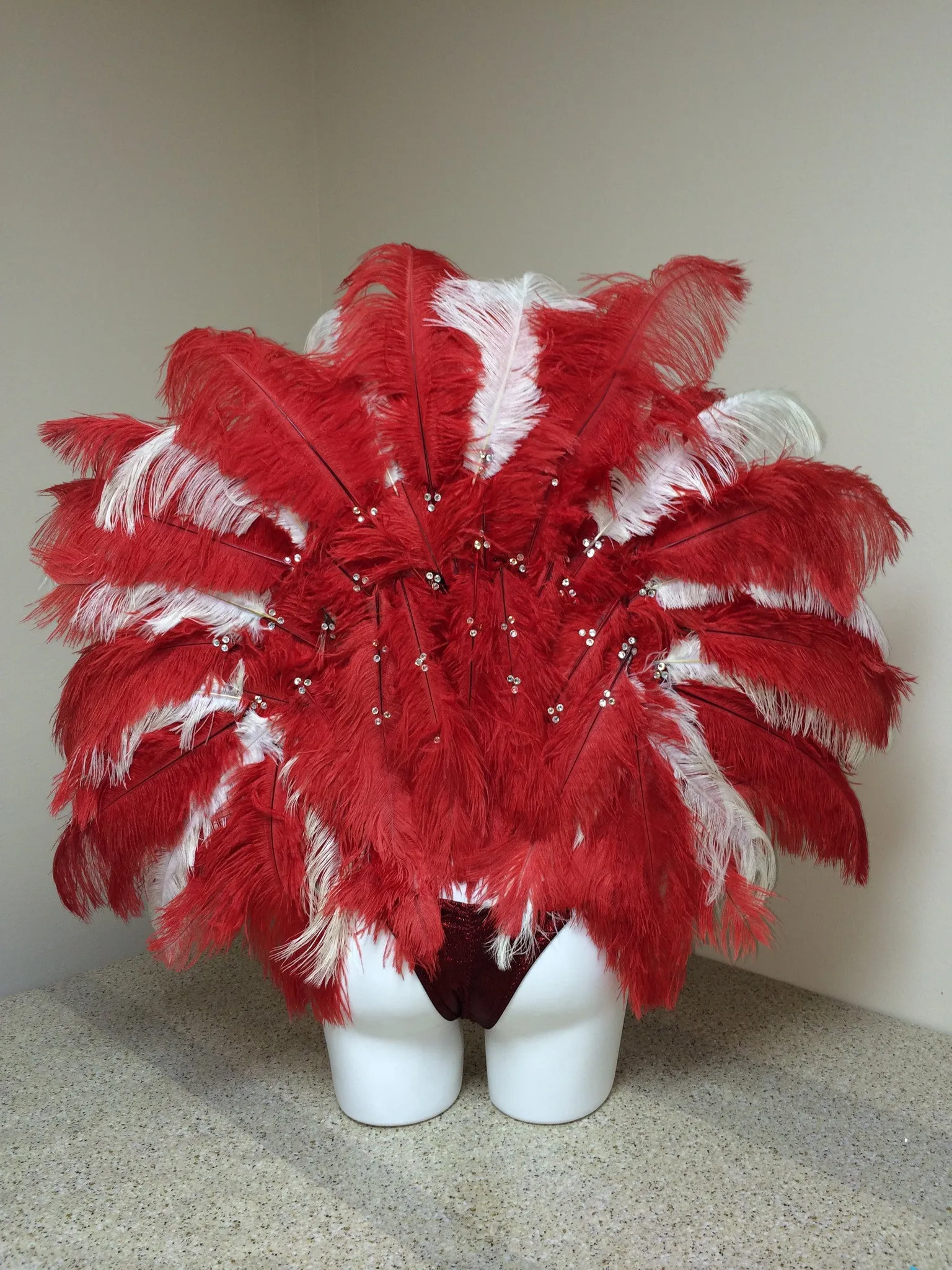 Custom Wonder Woman Inspired Themewear bikini *wings sold separately