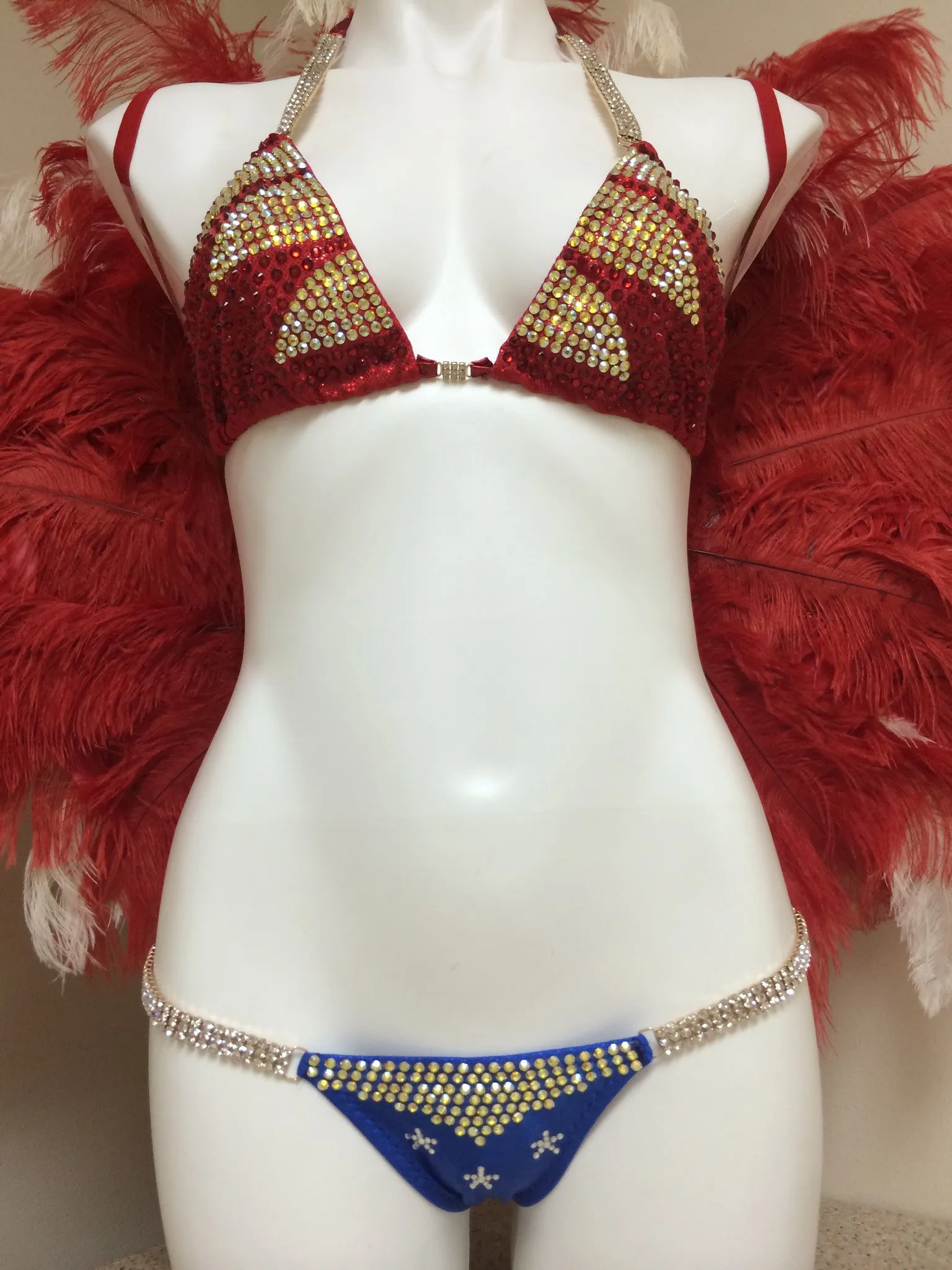 Custom Wonder Woman Inspired Themewear bikini *wings sold separately