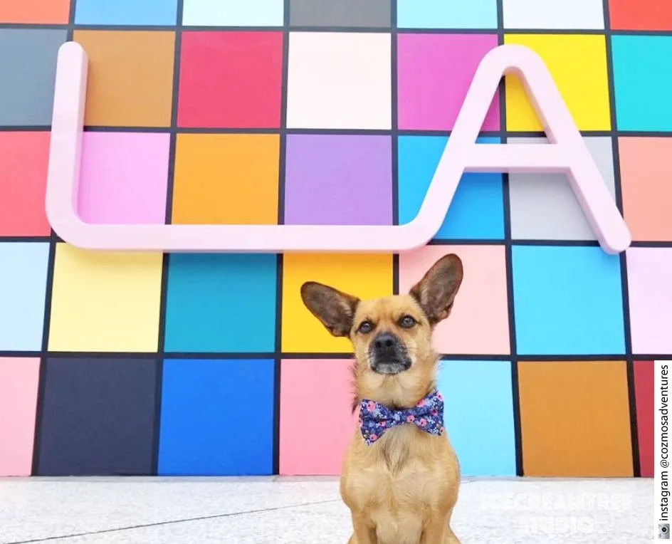 Faux Leather Pink Bow Tie - Pet Bow Tie