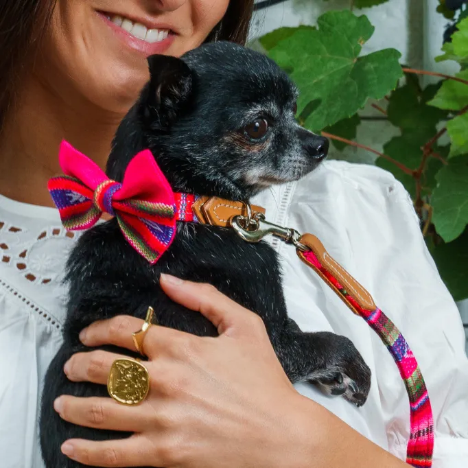 Inca Pink Dog Bow Tie