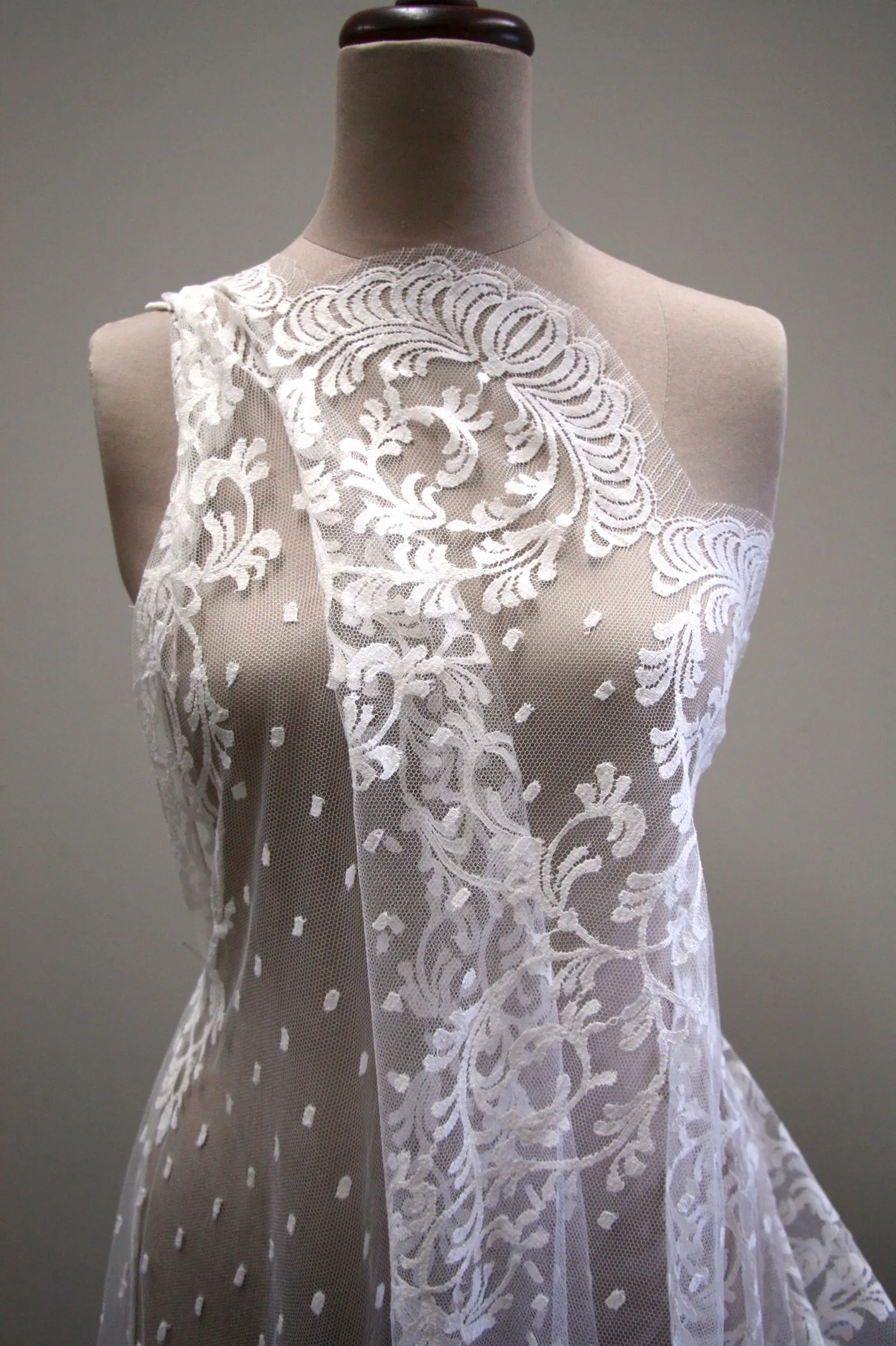 Ivory Swan