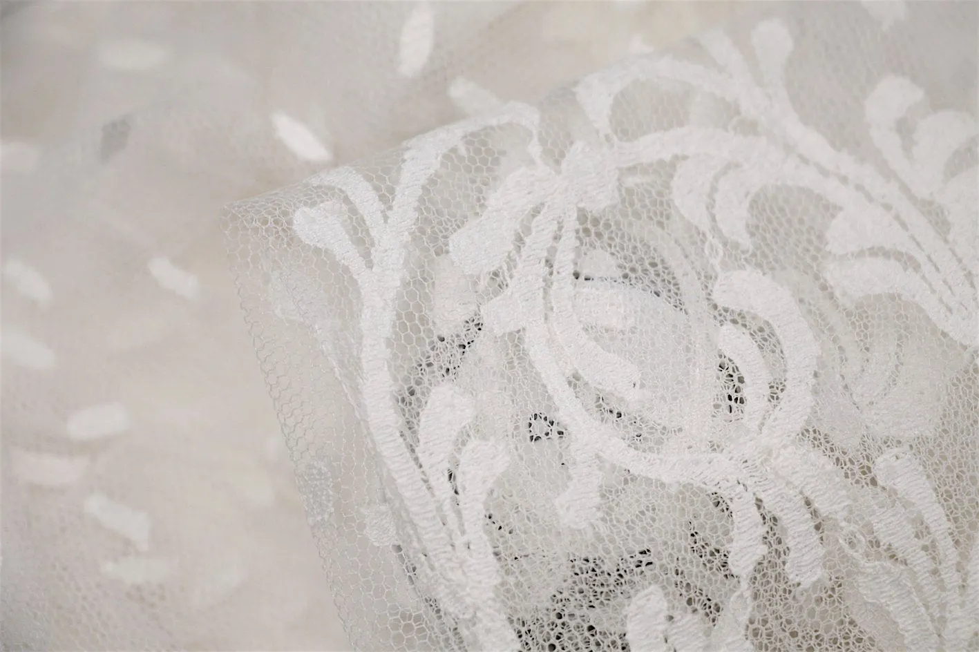 Ivory Swan