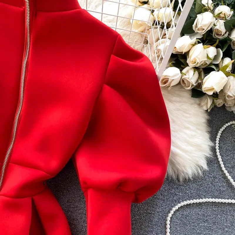 Puff Sleeve Turtleneck Dress Autumn Winter Long Sleeve Dresses Women Party Christmas Slim A-Line Elegant New Year Woman