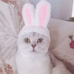 Rabbit Ear Adjustable Velcro Head Dress for Cats