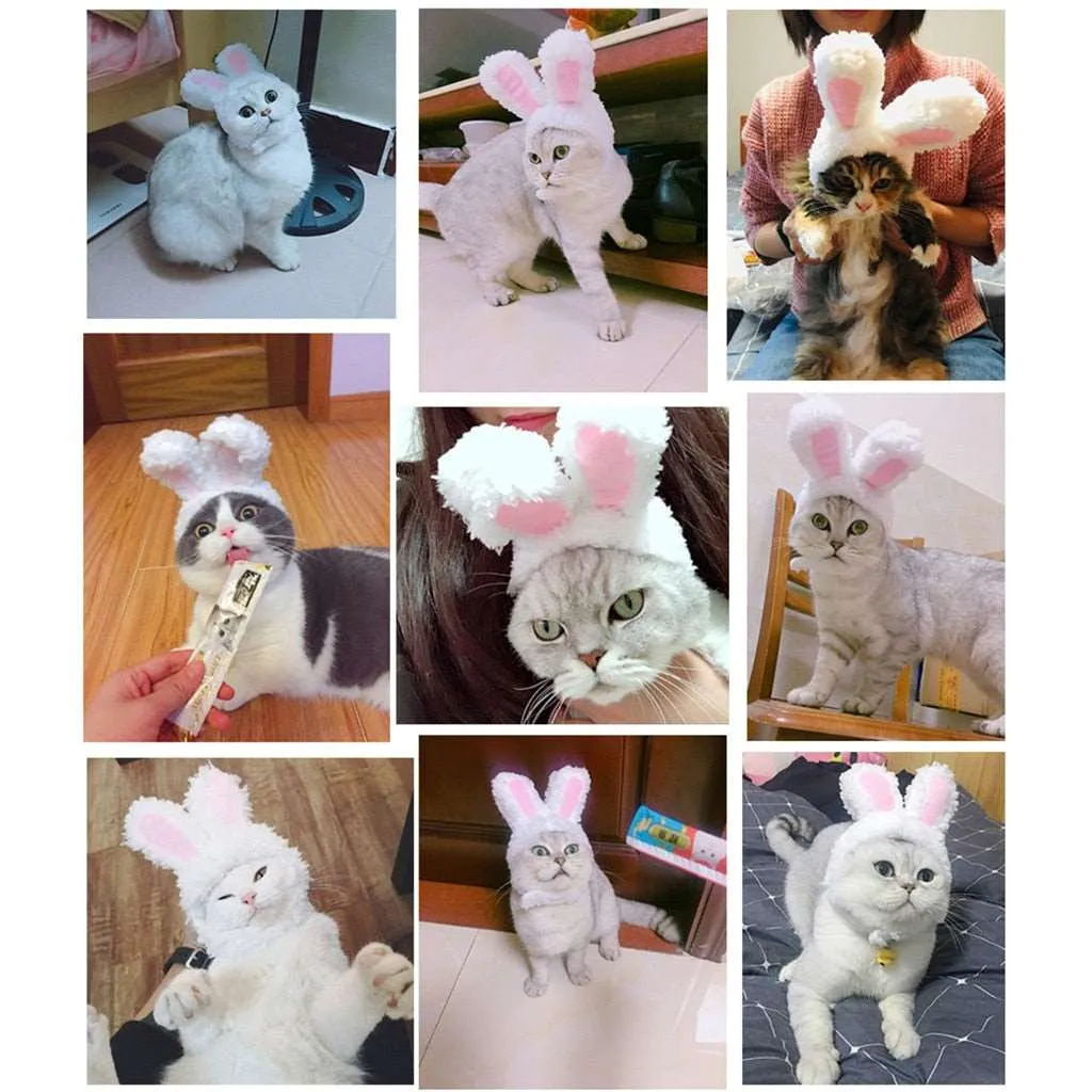 Rabbit Ear Adjustable Velcro Head Dress for Cats
