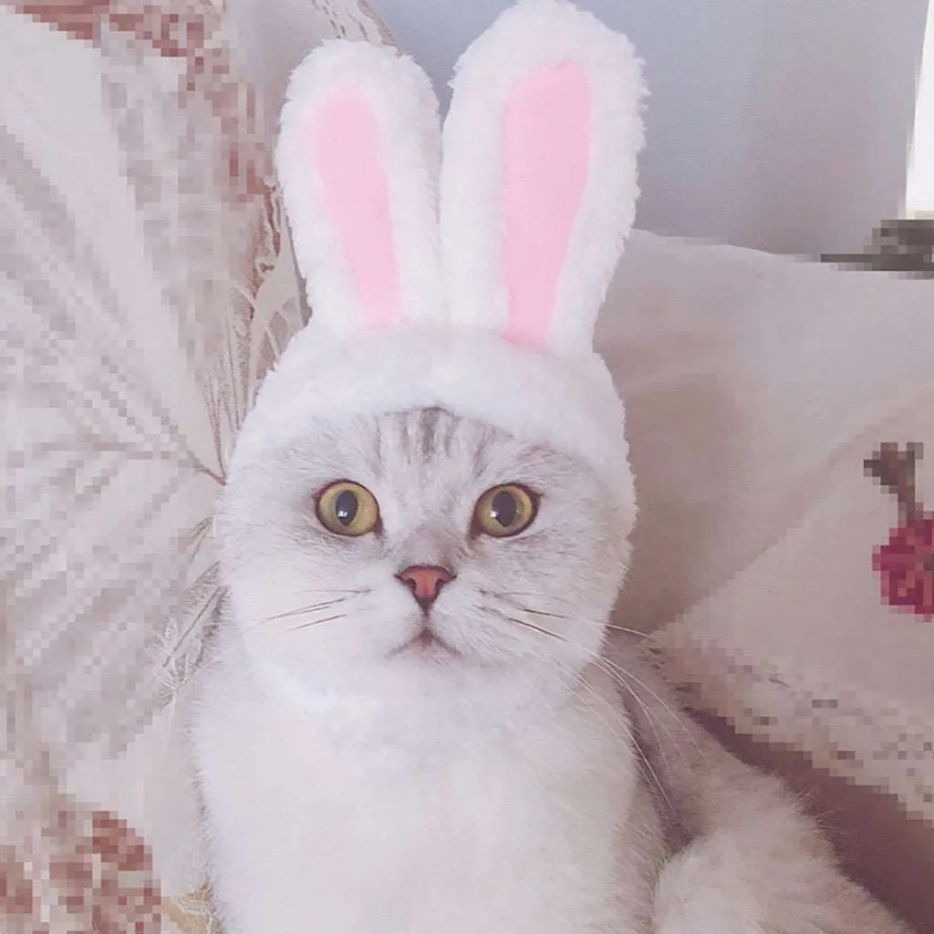Rabbit Ear Adjustable Velcro Head Dress for Cats