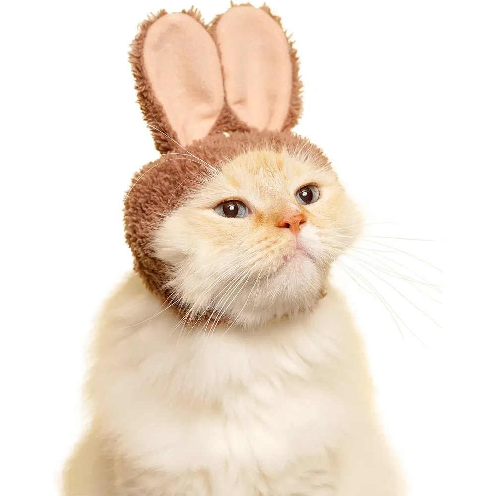 Rabbit Ears Cat Cap Blind Box