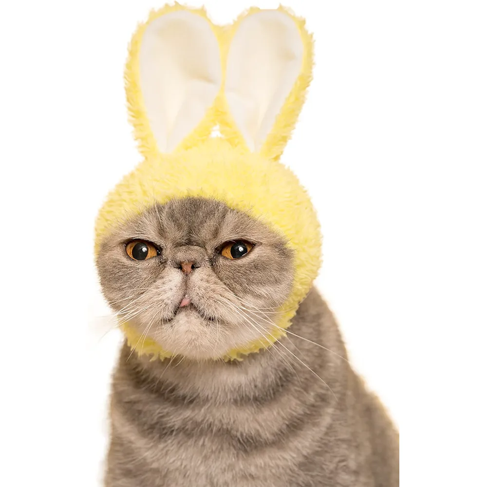 Rabbit Ears Cat Cap Blind Box