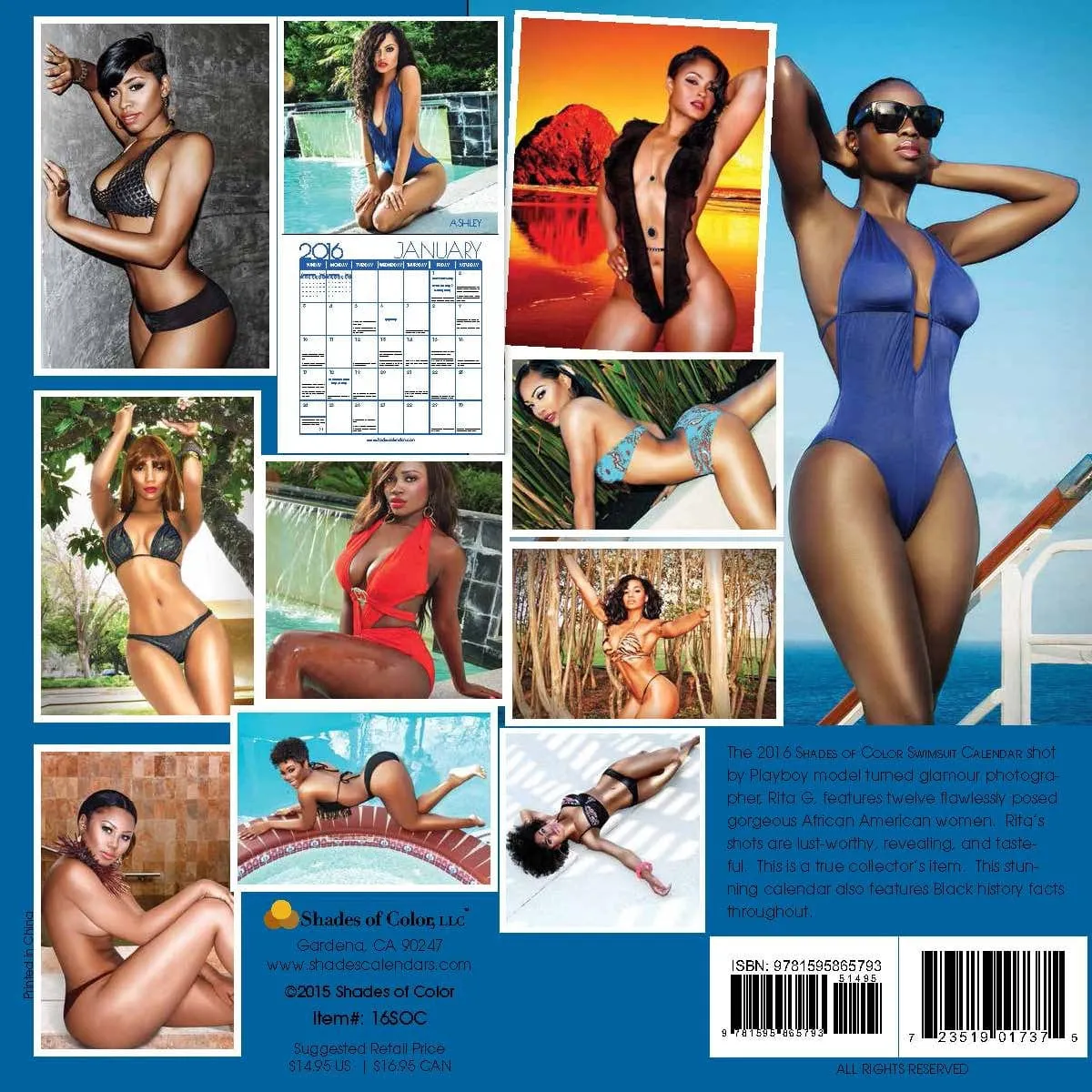 Shades of Color Swimsuit