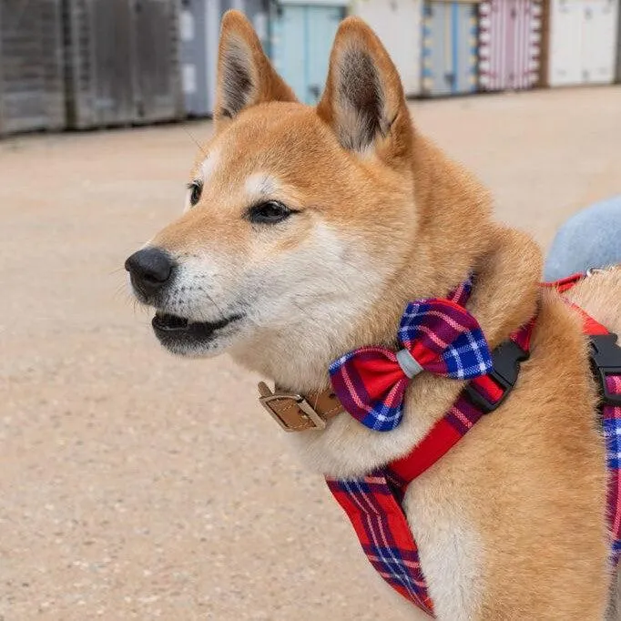 Shuka Red Dog Bow Tie