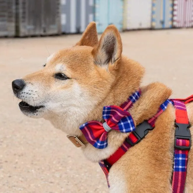 Shuka Red Dog Bow Tie