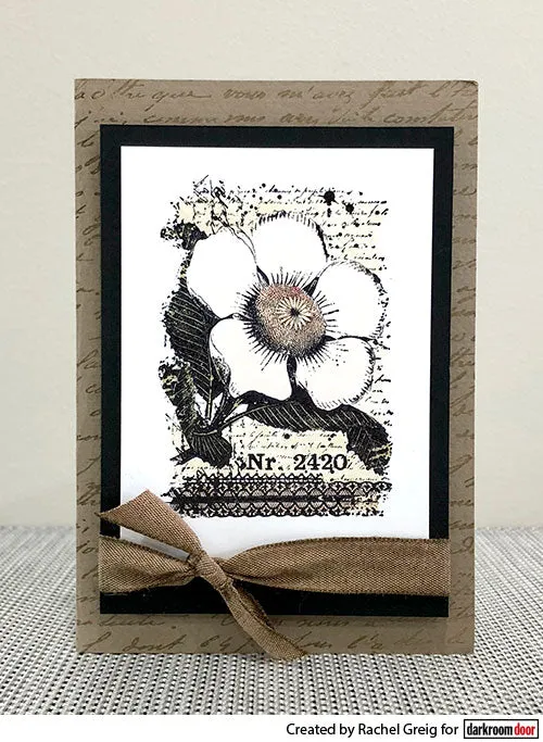 Stamp Set - Botanical Script