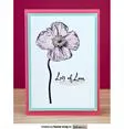 Stamp Set - Poppies